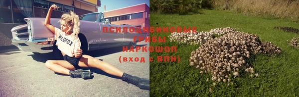 apvp Рославль