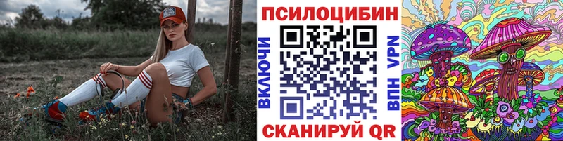 Псилоцибиновые грибы мицелий  Лосино-Петровский 